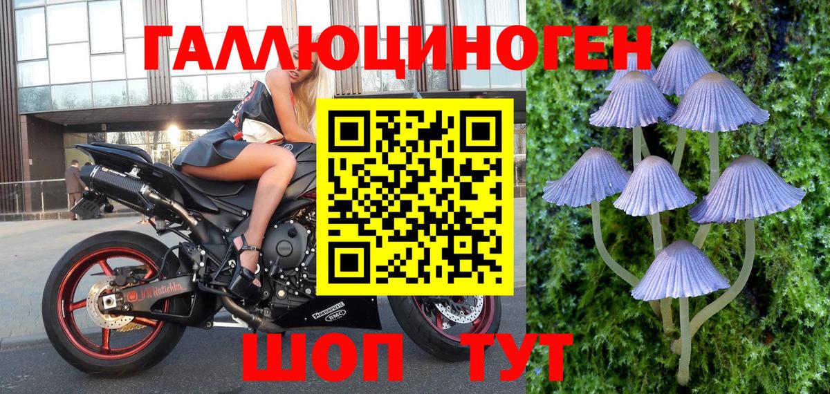 Псилоцибиновые грибы Cubensis  Вход с VPN  Пенза  Псилоцибиновые грибы мицелий 